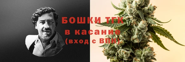 стаф Волосово