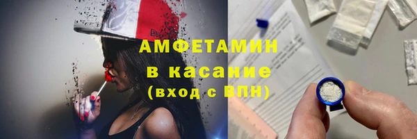 стаф Волосово
