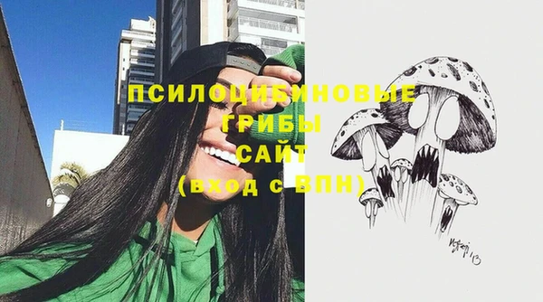 стаф Волосово