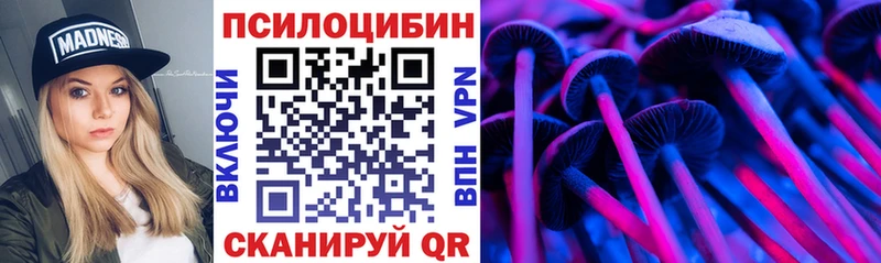 blacksprut   что такое наркотик  Плавск  Псилоцибиновые грибы Psilocybe 